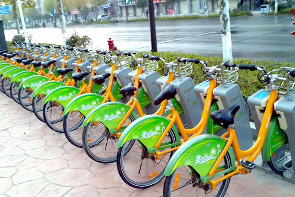 Public Bicycle Rental - Wireless Networking Solution